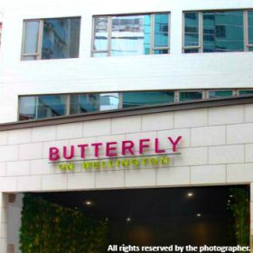 butterfly-on-wellington_meitu_17_meitu_24-280x280